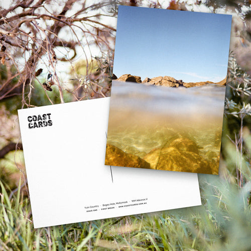 Coast Cards gift subscription: Bogey Hole postcard front and back laid over a film photograph of bush undergrowth