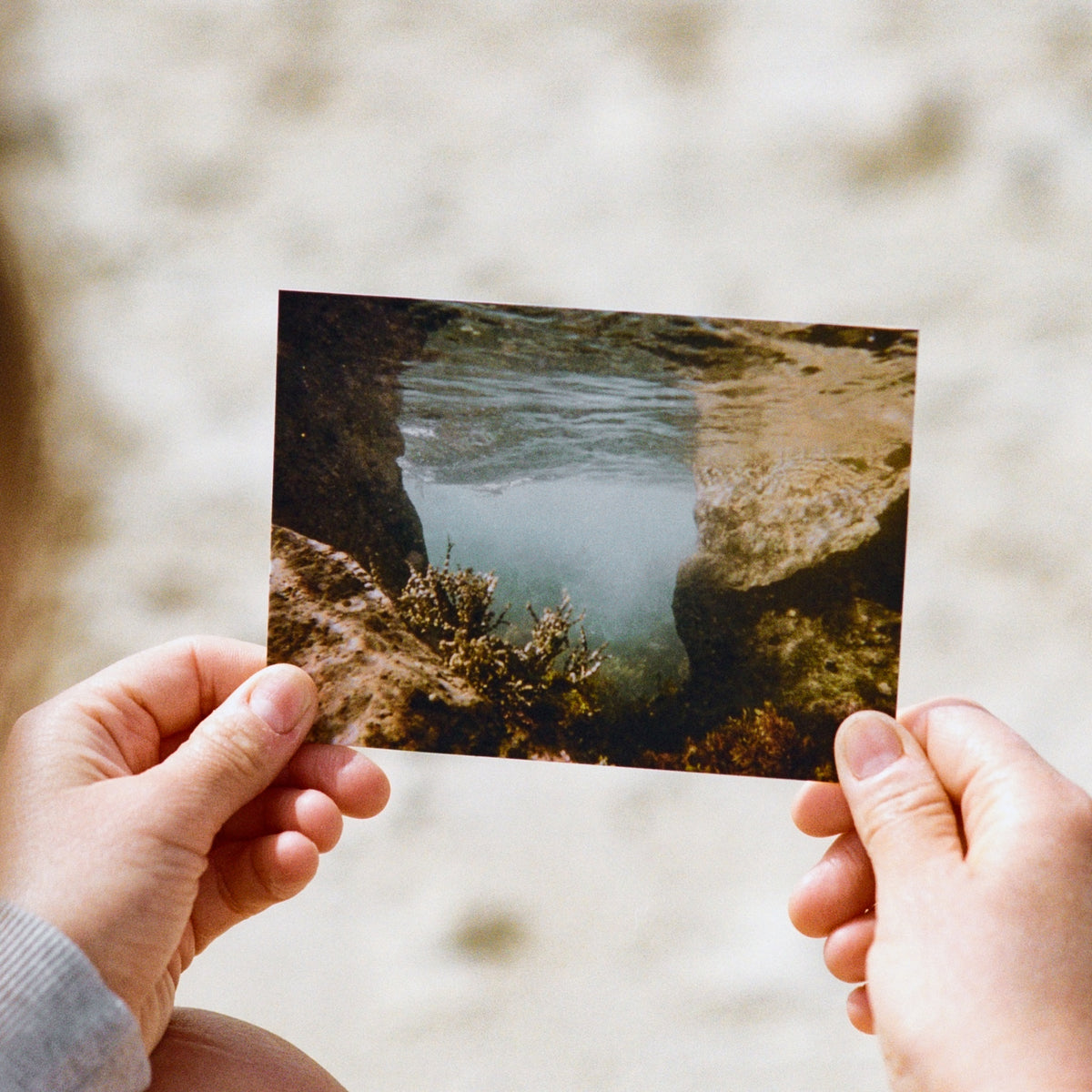 Coast Cards postcard on rock by the water