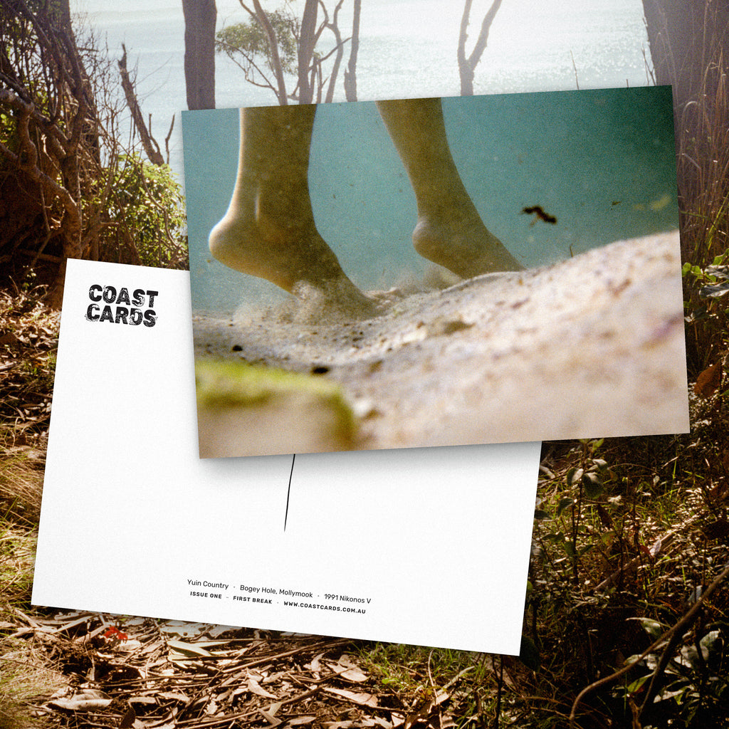 Coast Cards monthly subscription: a postcard front and back laid over a film photograph of coastal scrub