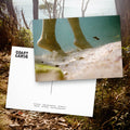 Coast Cards monthly subscription: a postcard front and back laid over a film photograph of coastal scrub