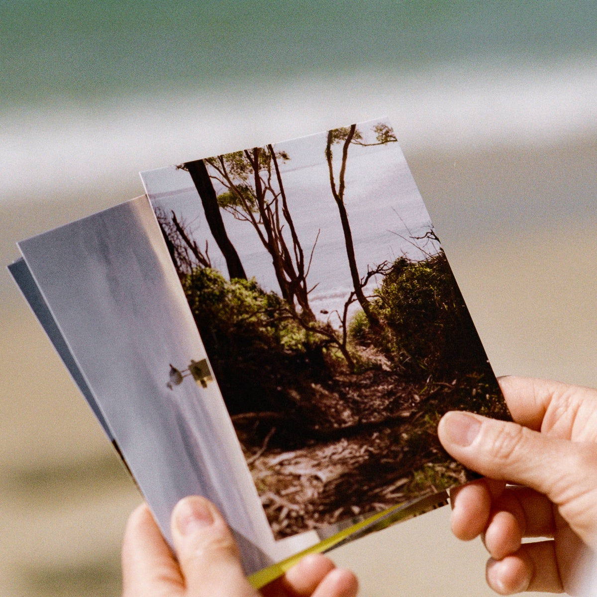 Coast Cards postcard held on the beach at Collers Bay