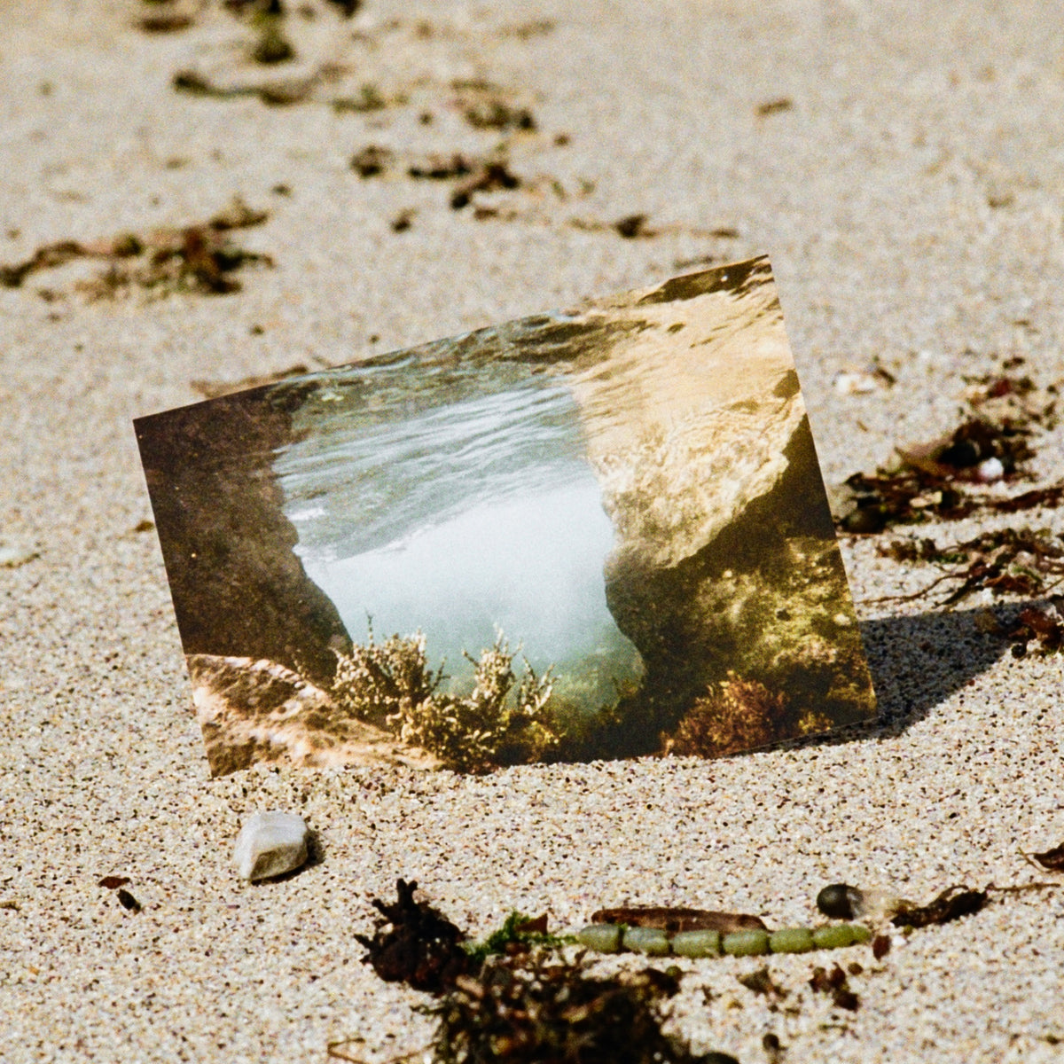 Coast Cards postcard resting on rock at the beach