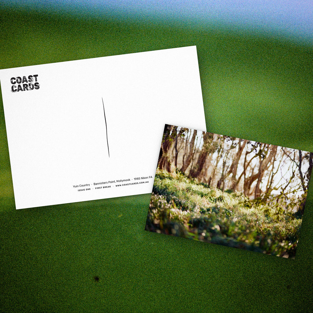 Coast Cards 12 month subscription: Bannisters Point postcard front and back laid over a film photograph of deep green water