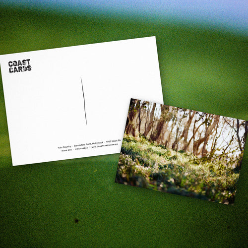 Coast Cards 12 month subscription: Bannisters Point postcard front and back laid over a film photograph of deep green water