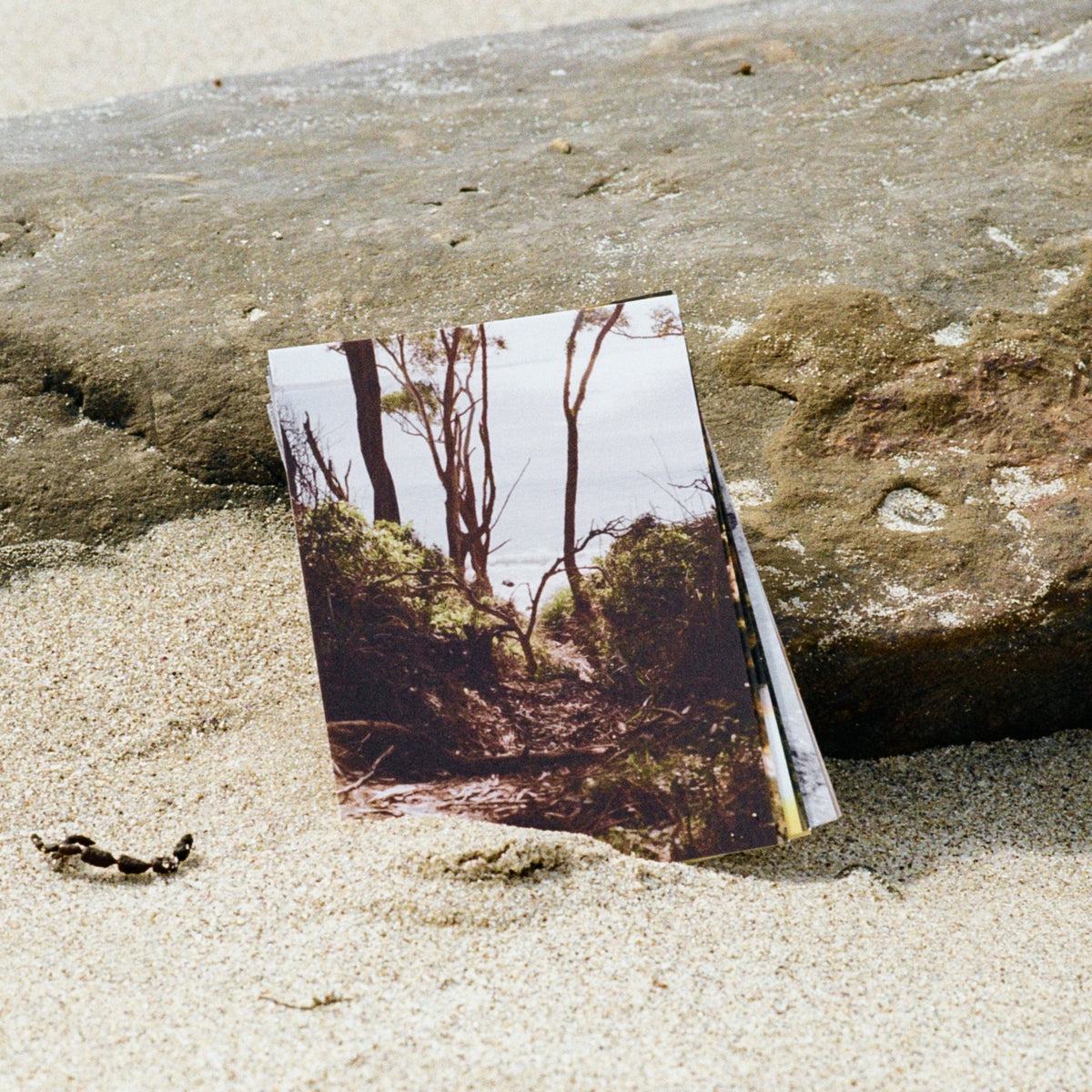 Coast Cards postcard on the sand at Collers Bay